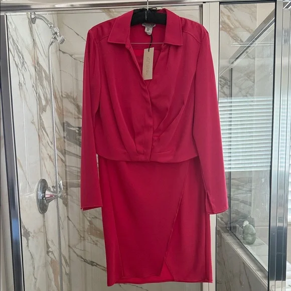 rachel zoe long sleeve dress Rachel Zoe silk long sleeve dress size 4
